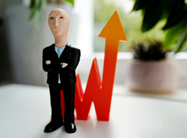 Porfolio Management Services, pms
